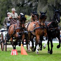 Joe Yoder Photo 19