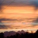 Cheryl Osborn Photo 21