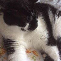 Kathleen Kemp Photo 7