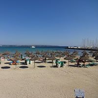 Stephanie Schenk Photo 13