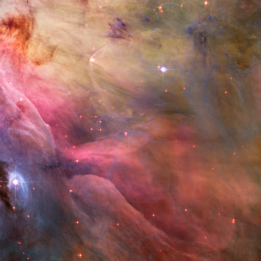 Julia Jankowski Photo 9