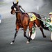 Ronald Burke Photo 43