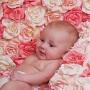 Stephanie Rowley Photo 19