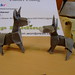 Daniel Chang Photo 9