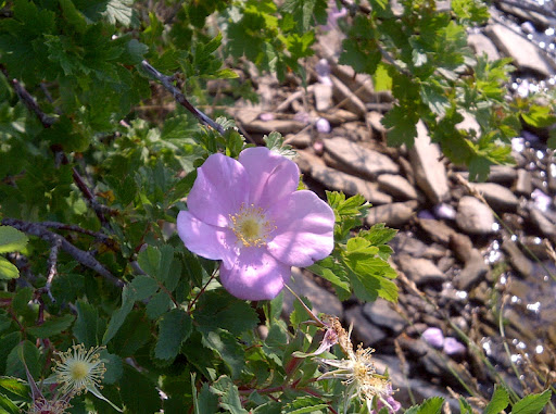 Judy Parks Photo 3