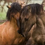 Lisa Castle Photo 34