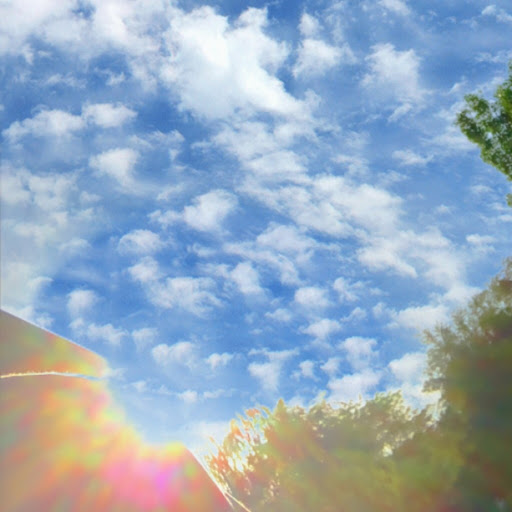 Adam Mathews Photo 25