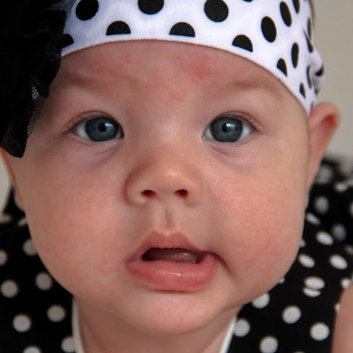 Mark Snyder Photo 21 Mark Snyder Photo 21