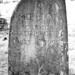 Mary Skelton Photo 5