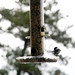 Shelia Turner Photo 34