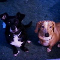 Karen Hooper Photo 11