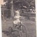 Sharon Ramsey Photo 35