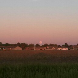 Jan Alexander Photo 24