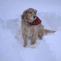 Sharon Freer Photo 12