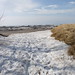 Michelle Winters Photo 16
