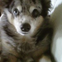 Nancy Cleveland Photo 19