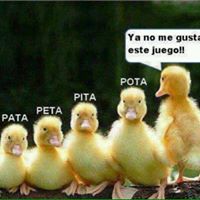 Eduardo Duran Photo 15