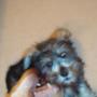 Sharon Galloway Photo 26