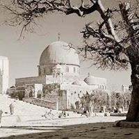 Rashad Mohammed Photo 16