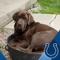 Nancy Firsich Photo 2