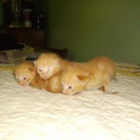 Kathy Huffman Photo 12