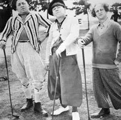 Mary Wolfe Photo 25 Mary Wolfe Photo 25