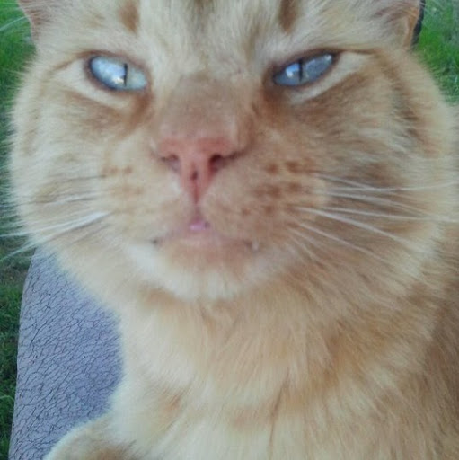 Beverly Hart Photo 31