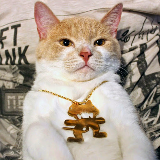 Joseph Lawrence Photo 26