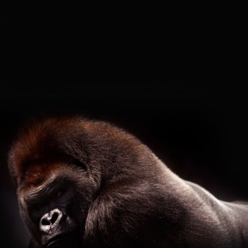 Eric Covert Photo 23