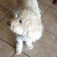 Jessica Calderon Photo 41