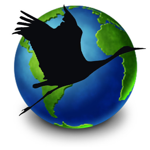 Pamela Crane Photo 42