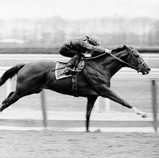 Robin Mccann Photo 6