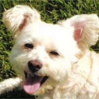 Thomas Zimmerman Photo 44