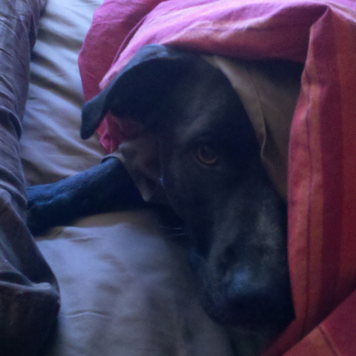 Nathan Cook Photo 27