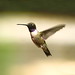 Amy Kerns Photo 22