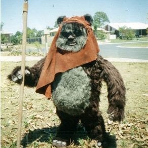 Tracie Sparks Photo 6