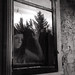 Rachel Wallis Photo 21