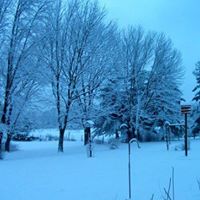 Carolyn Cheek Photo 12