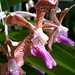 Amy Glynn Photo 21