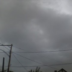 Virginia Gardner Photo 29