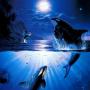 Ming Zheng Photo 5