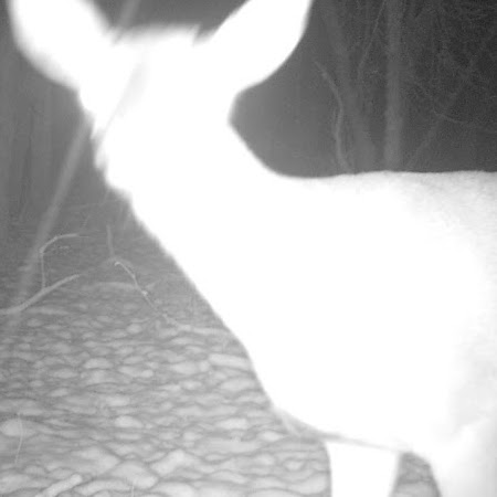 George Vaughn Photo 17 George Vaughn Photo 17