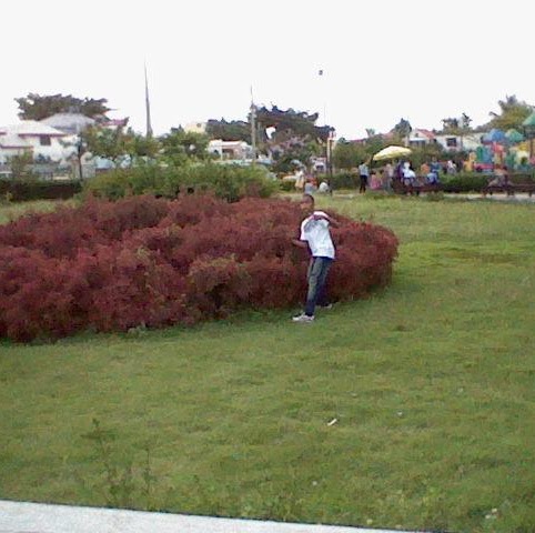 Ruben Colon Photo 21