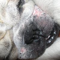 Mark Rackley Photo 21