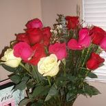 Nancy Zavala Photo 18