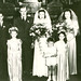 Donna Mcclure Photo 49