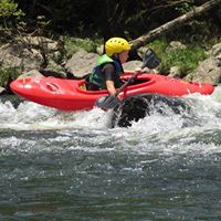 Tracy Albright Photo 15