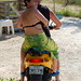 Susan Stephens Photo 41