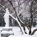 Mary Snow Photo 33
