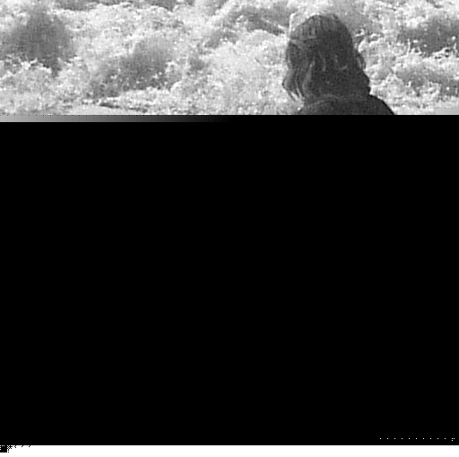 Jeff Walker Photo 29